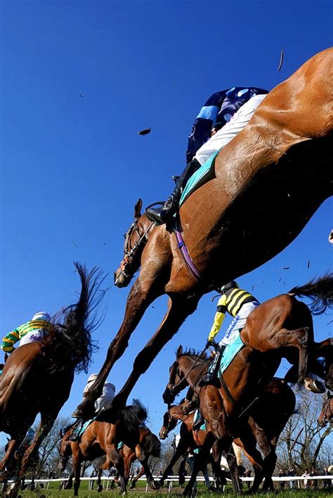 grand national declaration dates 2022.